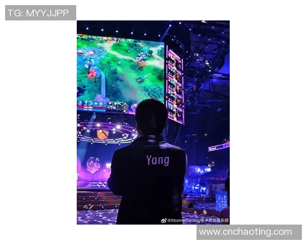 2025职业赛场精彩瞬间回顾与展望之五大经典镜头